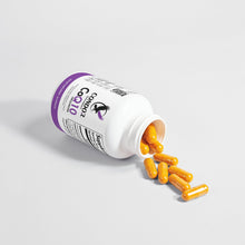 Load image into Gallery viewer, CoQ10 Ubiquinone