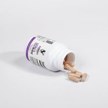 Load image into Gallery viewer, Lion's Mane