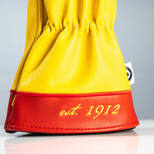 Load image into Gallery viewer, New Mexico State Flag - Driver Cover