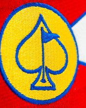 Load image into Gallery viewer, Blucifer - Driver Cover