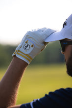 Load image into Gallery viewer, "Money Bags" Golf Glove