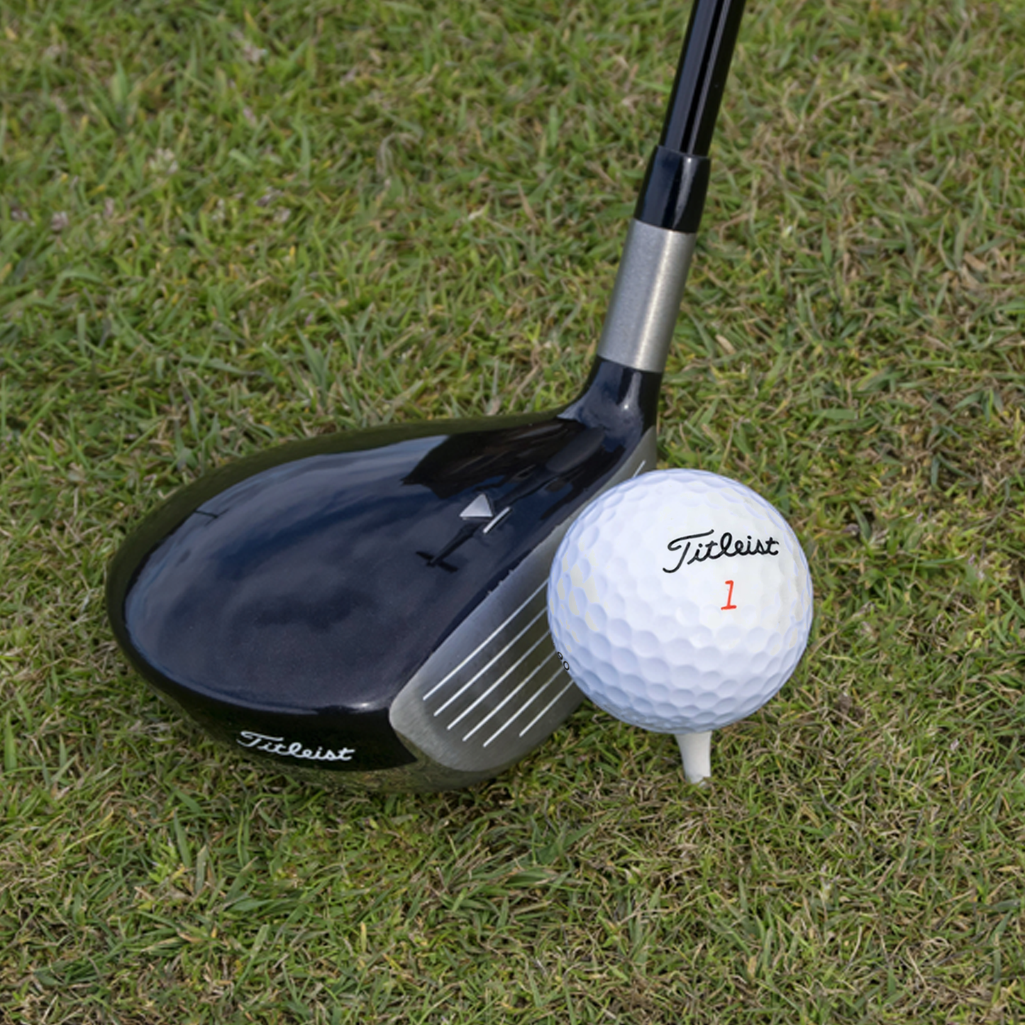 Used Titleist Mix Golf Balls - Mesh Bag