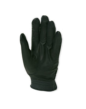 Load image into Gallery viewer, HJ Glove Winter Performance Golf Gloves (Pair)