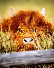 Load image into Gallery viewer, Highland Cow - Driver Cover