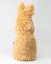 Load image into Gallery viewer, Kangaroo - Driver Cover