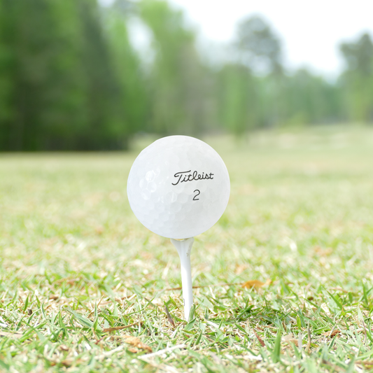 Used Titleist 2025 Pro V1 Golf Balls - 1 Dozen
