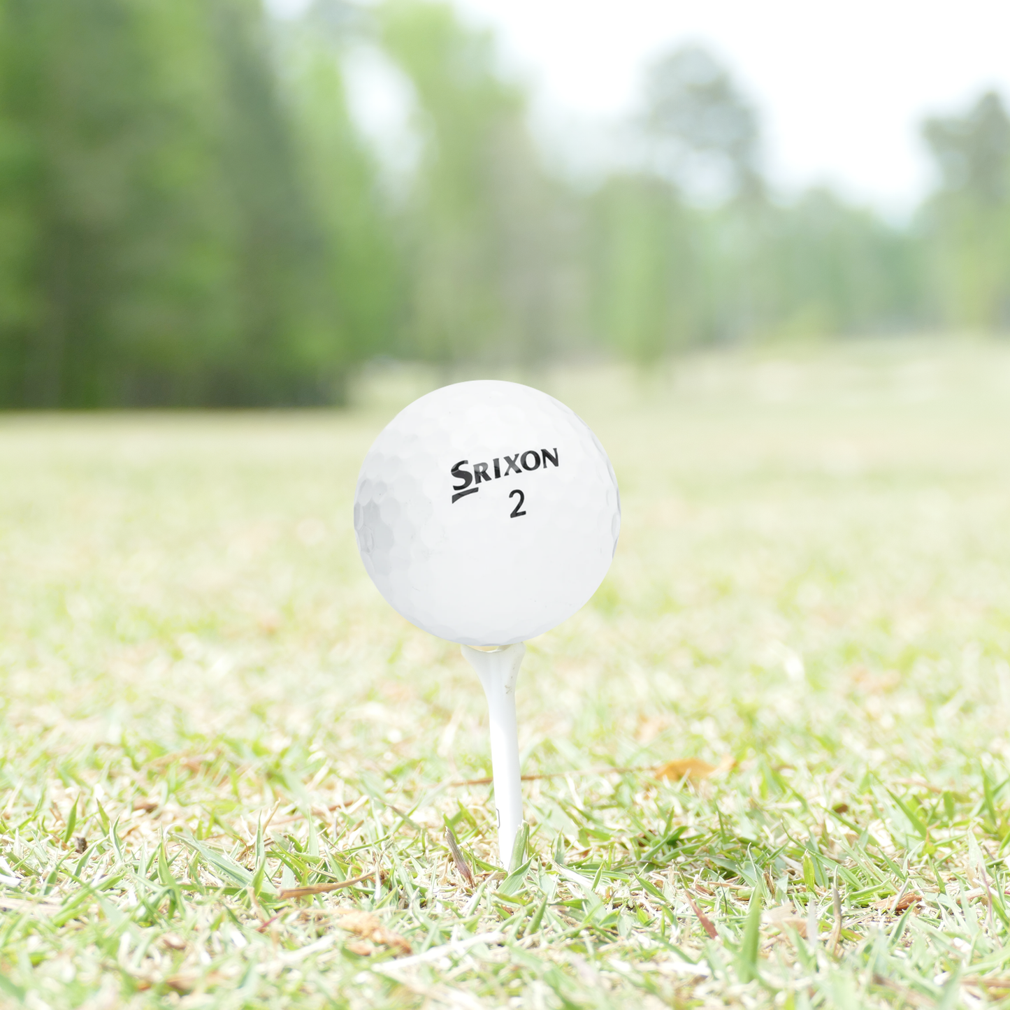 Used Srixon Mix Golf Balls - Mesh Bag