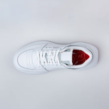 Load image into Gallery viewer, Anthem