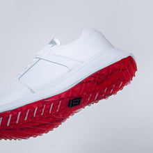 Load image into Gallery viewer, Anthem