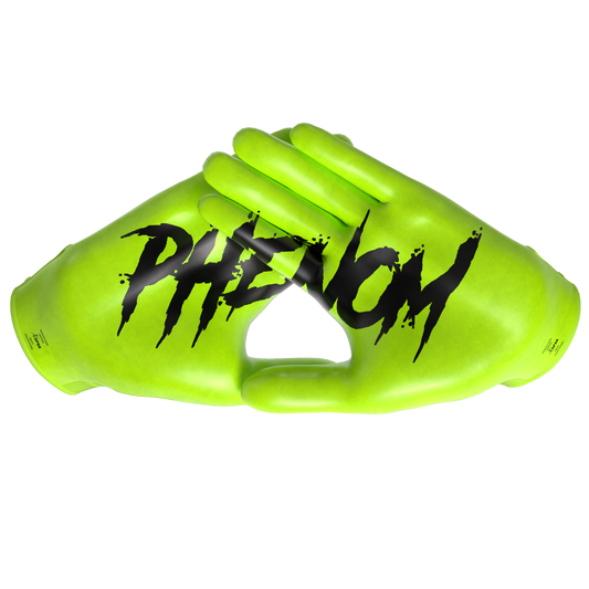Phenom Elite Rick and Morty Football Gloves - VPS1
