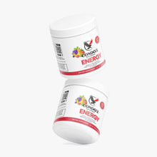 Load image into Gallery viewer, Energy Drink Mix (Fruit Punch)
