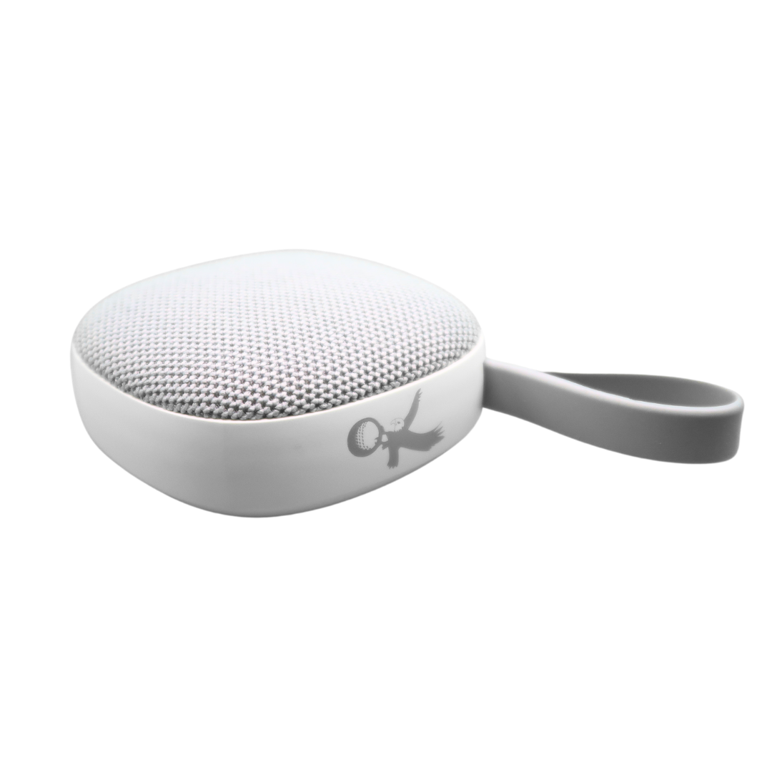 The Eagle Bluetooth Magnetic Speaker