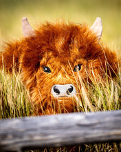 Load image into Gallery viewer, Highland Cow - Driver Cover
