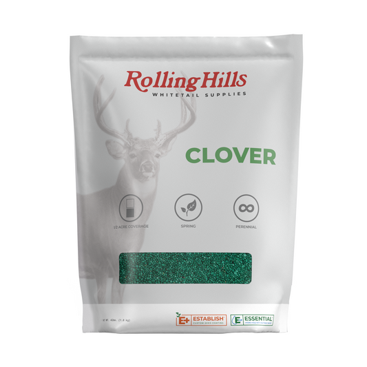 Clover