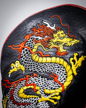 Load image into Gallery viewer, Dragon&#39;s Dynasty - Driver Cover
