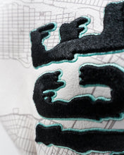 Load image into Gallery viewer, Shady Slice Fairway Cover
