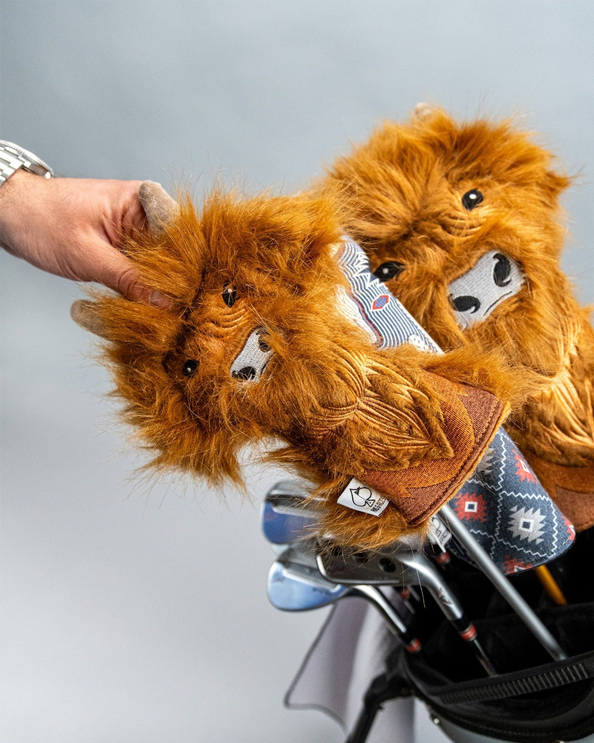 Highland Cow - Hybrid Headcover