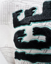 Load image into Gallery viewer, Shady Slice Fairway Cover
