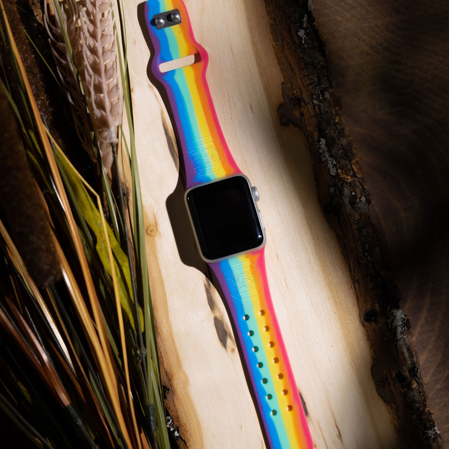 South Carolina Gamecocks Engraved Apple Watch Band