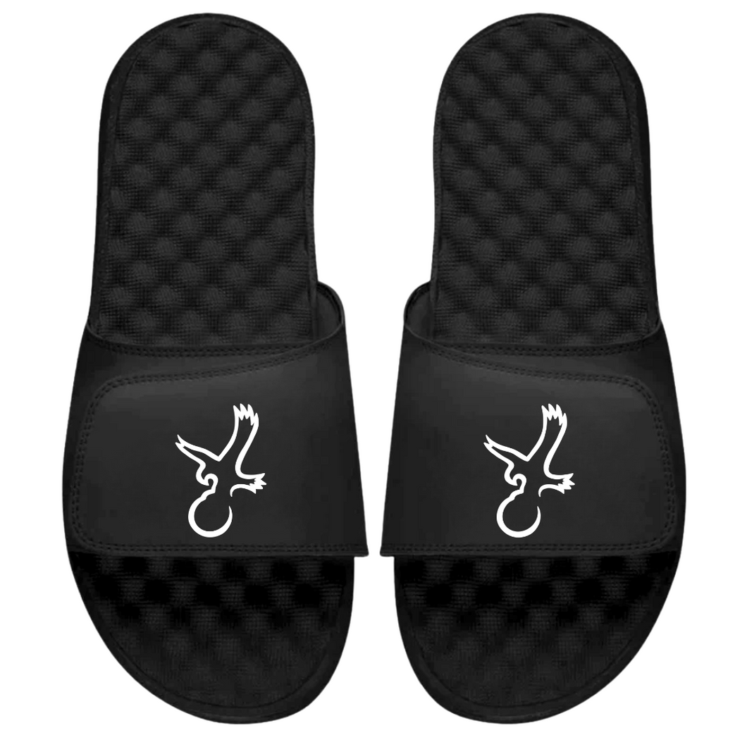 Talon Eagle Slides