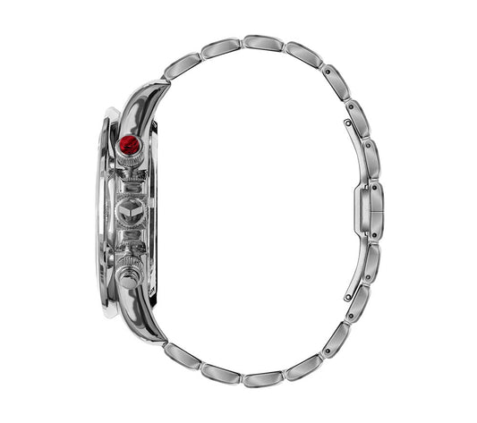 ZR3 - Silver/Black Polished