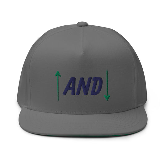 Up and Down Flat Bill Cap - Navy Logo