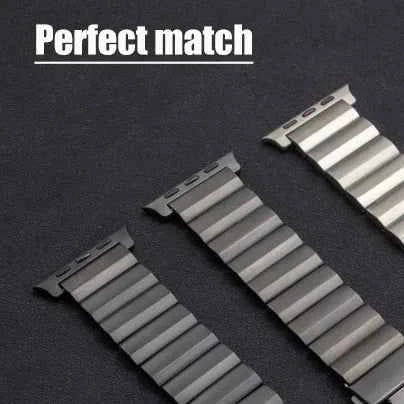 Titanium Silver Apple Watch Band Connector/Adapter