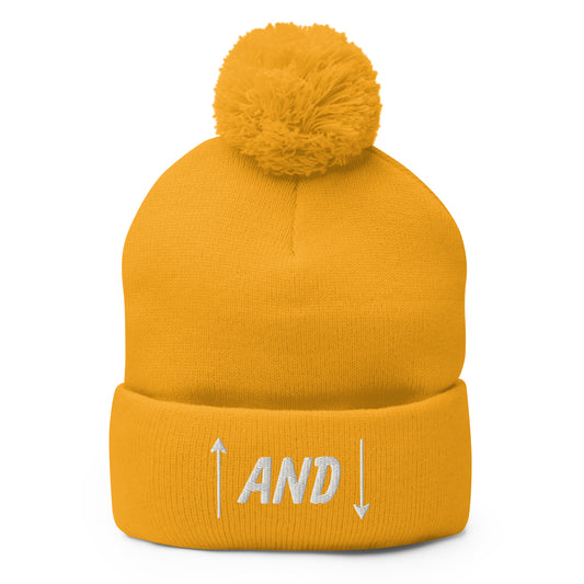 Up and Down Pom-Pom Beanie
