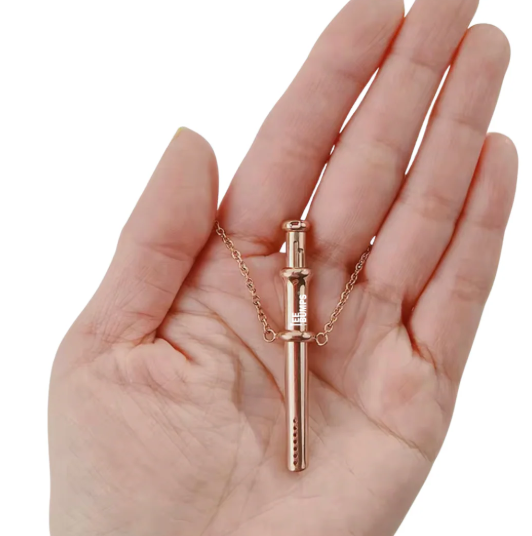 Scoop Necklace